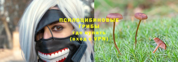 индика Белоозёрский