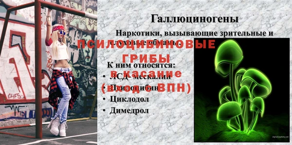 индика Белоозёрский