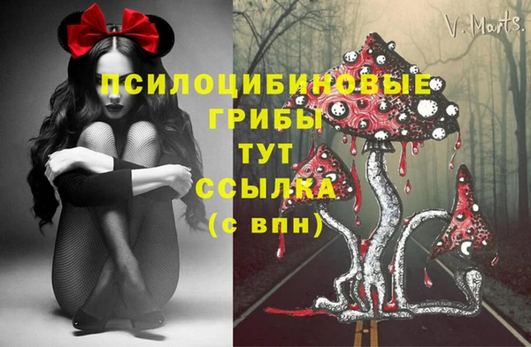 амф Белокуриха