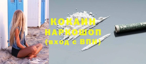 индика Белоозёрский