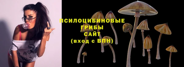 амф Белокуриха