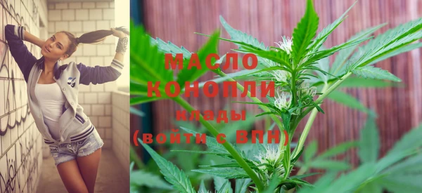 индика Белоозёрский