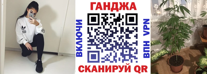 МАРИХУАНА SATIVA & INDICA  Купить закладки  Чкаловск 